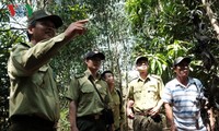 Para penjaga hutan pada musim kemarau di Provinsi Dong Nai