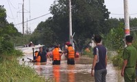 Kerjasama Viet Nam-Jepang: Berbagi solusi-solusi dan teknologi meringankan risiko bencana alam