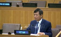 Viet Nam menegaskan ASEAN mendukung non-proliferasi dan perlucutan berbagai jenis senjata pemusnah