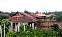 Desa Budaya Nung An di Daerah Tay Nguyen