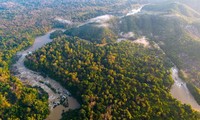 Taman Nasional Cat Tien – Tempat Melestarikan Alam dan Keanekaragaman Hayati di Vietnam