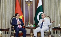 PM Vietnam, Pham Minh Chinh Lakukan Pertemuan dengan PM Pakistan, Shehbaz Sharif