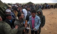 Egypt evacuates citizens stuck in Libya-Tunisia border