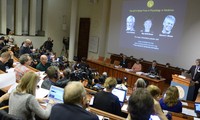 2014 Nobel Prize in Physiology and Medicine awarded to 3 Norwegian and American scientists