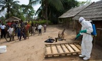 Ebola infections in Liberia decrease