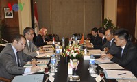 Vietnam, Egypt hold 8th political consultation