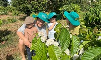 ຢ້ຽມຊົມບັນດາຟາມປູກກາເຟພິເສດຢູ່ແຂວງ ດັກລັກ
