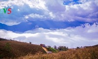 Noroeste de Vietnam entre las nubes: un paraíso terrenal