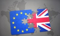 Elecciones británicas y su Brexit