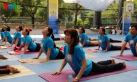 Ciudad Ho Chi Minh acoge el Día Internacional del Yoga