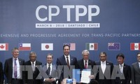 Vietnam ejerce papel importante en estrategia japonesa sobre CPTPP