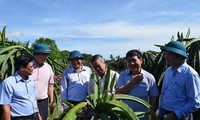 Enaltecen papel del Frente de la Patria de Vietnam en la modernización rural