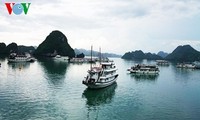 Refuerzan crecimiento verde de la Bahía de Ha Long