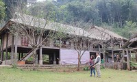 Turismo “homestay” en Moc Chau