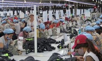 Vietnam aventaja el intercambio comercial con Canadá