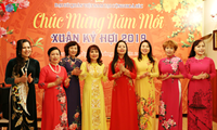 Prosiguen actividades de los vietnamitas en ultramar como preámbulo del Tet 2019 