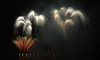 Bélgica y Brasil compiten en Festival de Fuegos Artificiales de Da Nang