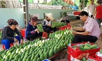 Crecen exportaciones de principales productos de Vietnam 