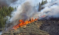 España controla incendio en la isla de Gran Canaria