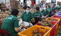 Exportaciones agrícolas, silvícolas y acuícolas suman más de 30 mil millones de dólares