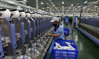 Vietnam es un punto brillante en la economía regional, estima Fitch Ratings