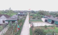 Nueva fisonomía en el campo vietnamita