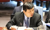 Vietnam apoya desempeño de la ONU contra terrorismo y violencia extrema en África