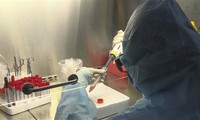 Vietnam concentrado en producir kits de prueba rápida del coronavirus