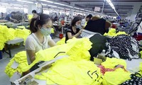 Promueven capacidad de protección comercial para la producción vietnamita