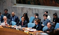 Vietnam aumentará prioridades al multilateralismo en la ONU