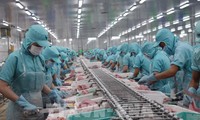 Exportaciones de productos acuícolas de Vietnam siguen en alza