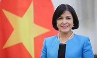 Vietnam promueve la cooperación con el Centro Internacional para el Desminado Humanitario de Ginebra