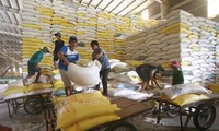 Unión Económica Euroasiática destina cuota arancelaria de 10 mil toneladas de arroz a Vietnam