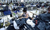 Reino Unido continúa brindando preferencias arancelarias a exportaciones vietnamitas