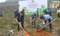 La Unión de Jóvenes Comunistas Ho Chi Minh lanza el Mes de Juventud y Tet de plantación 2021