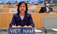 Vietnam por defender y promover los derechos humanos