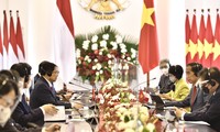 Indonesia toma en consideración fortalecer las relaciones con Vietnam, afirma Joko Widodo