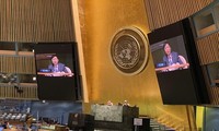 Aportes de Vietnam en virtud de presidente del Consejo de Seguridad de la ONU 