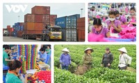 Vietnam continúa mejorando el ambiente de negocios