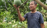 Nguyen Quang Toan, un generoso veterano de la comuna de Yen Tho