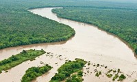 Vietnam comprometido a resolver desafíos de medio ambiente y cambio climático