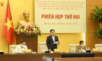 Vietnam trabaja en la estrategia sobre el estado de derecho socialista