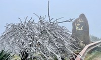 Heladas en la región montañosa del norte de Vietnam