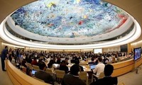 Vietnam contribuye a la promoción y protección mundiales de los derechos humanos