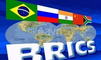 BRICSの潜在力
