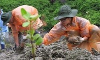 日越両国の学生、共同植林