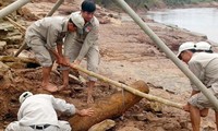 独、ベトナムの地雷不発弾除去作業を支援