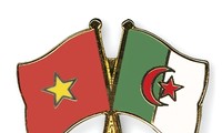 ベトナムとアルジェリア企業、協力を強化