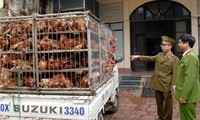 北部国境地方、鳥インフルエンザ対策を強化