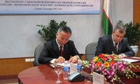 ベトナムとウズベキスタン外務省間の政治対話